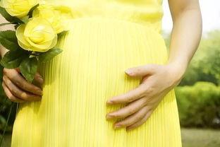 堕胎：如何应对终止妊娠
