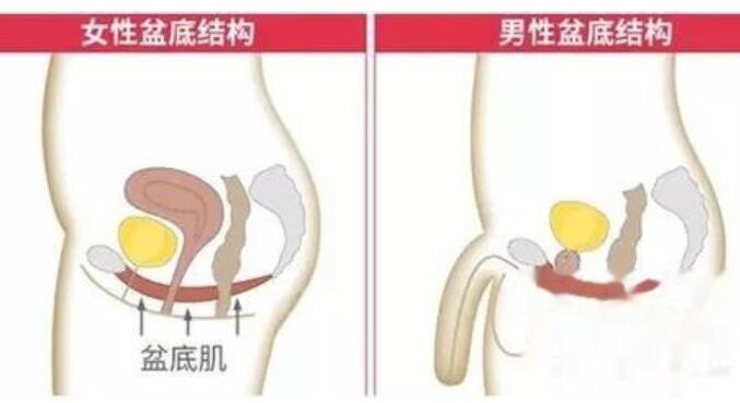 清水健训练怎么做才正确有效？