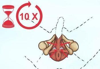 男性的pc肌是怎么样控制射精的？