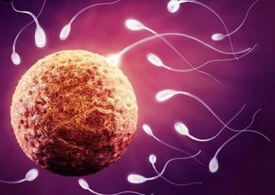伊悦两性健康网 手机检查精子浓度和活力