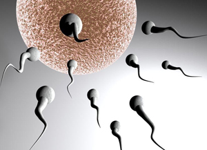 男人一生可排出多少精子？1