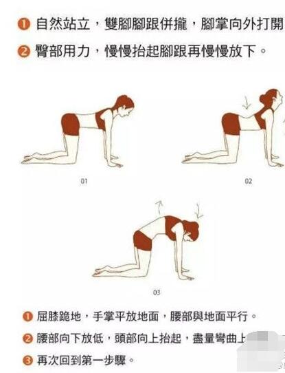 女子产后盆骨运动训练图