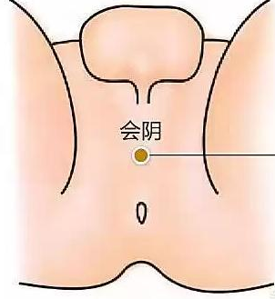 耻尾肌在哪?男人和女人的耻尾肌不一样吗？