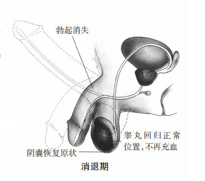 女性阴唇高潮时湿度颜色变化(图组)9