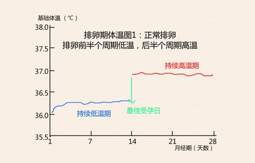 解析：月经不正常排卵期怎么算1