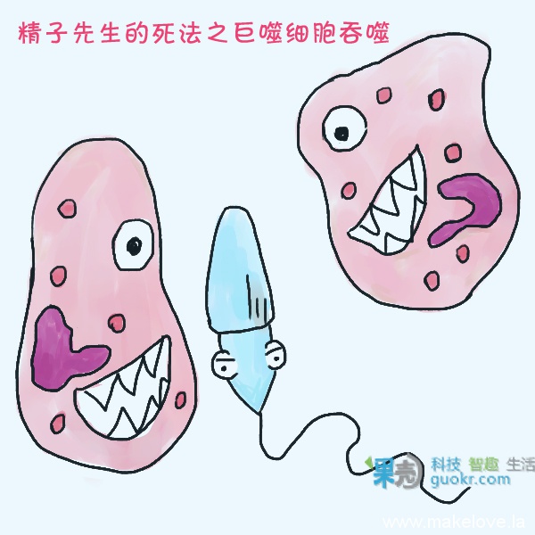 可怜精子的15种死法