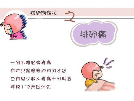 组图：女性私处排卵期是什么感觉7