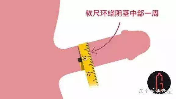 如何正确测量自己阴茎的长度？,养肾