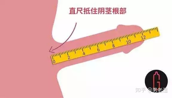 如何正确测量自己阴茎的长度？,养肾