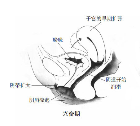 女性阴唇高潮时湿度颜色变化(图组)2