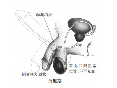 高清：男女性器做爱时有啥变化4