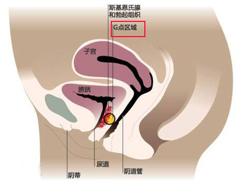 史上最全N种私处性高潮的真实感受3