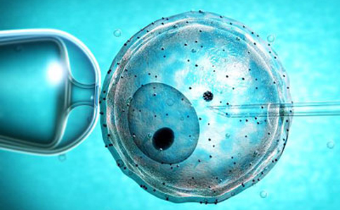 卵泡发育不成熟的常见原因及治疗方法