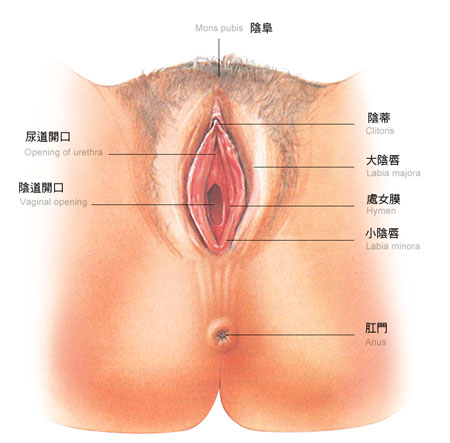 史上最全N种私处性高潮的真实感受1