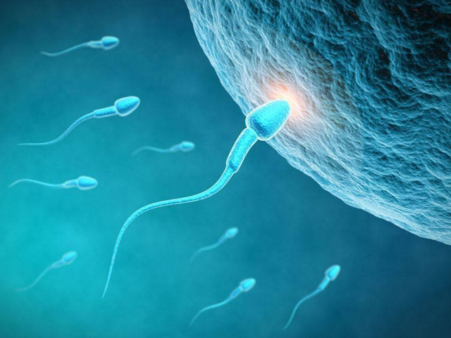 一般男性的精子可以在女性的体内存活时间是多久？