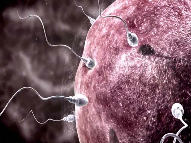 一般男性的精子可以在女性的体内存活时间是多久？