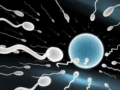 男人精子很重要 怎么保护好你的精子1