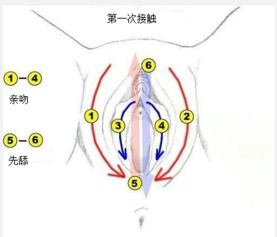 超详细教程：如何用舌头完成让女生高潮3次的前戏?接吻技巧?