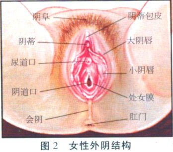 图组：女人高潮来临时的身体表现3