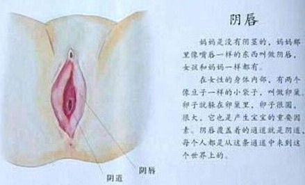 小阴唇在性刺激下变得红粉粉的过程1