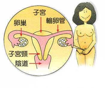 多图：性刺激后阴道发生的神奇变化1