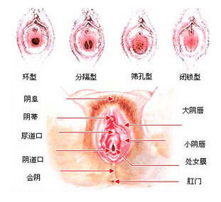 女人爱液分泌多少行房时不会疼痛2