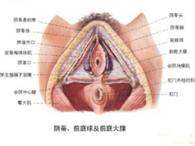 女人被男人触摸体内私处的神奇反应1