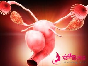 你的卵巢几岁了？得了卵巢早衰能治好吗？