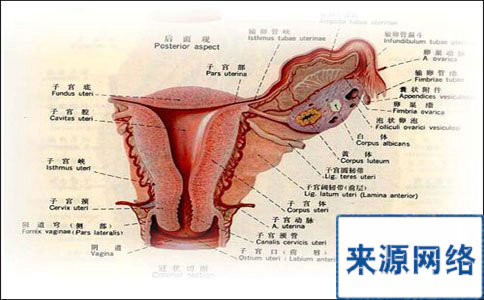 什么是盆腔炎